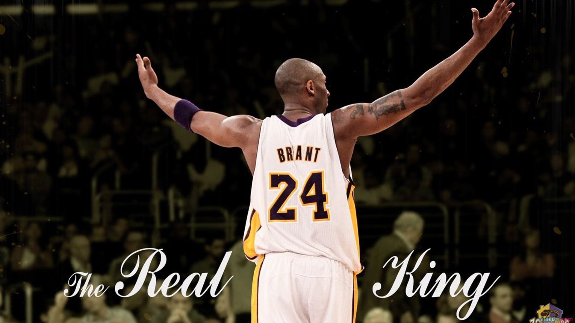 快船掀翻鹈鹕，浓眉在F1街道赛接管比赛，跨界竞技的奇妙共鸣